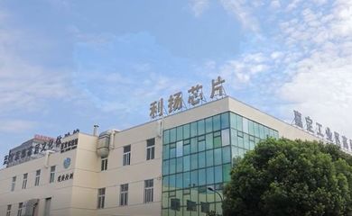 利揚芯片1億元設立上海光瞳芯微電子公司，深化集成電路設計產業布局